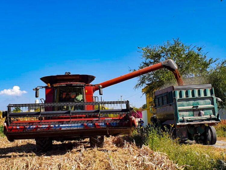 Morelos creará un banco rural para fortalecer su campo