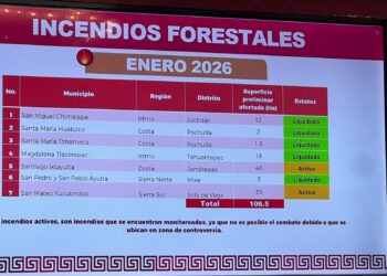 Conflictos agrarios en Oaxaca generan incendios y bloqueo a brigadas