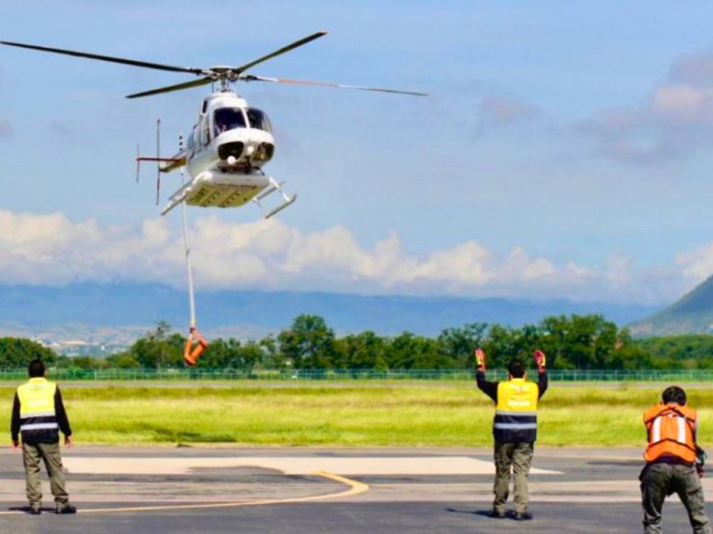 Breves de los Estados