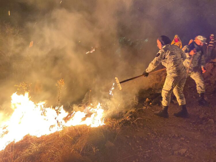 Incendios forestales en el Estado de México. AMEXI