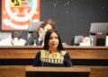 Elisa Zepeda Lagunas, activista oaxaqueña promotora de la participación política de las mujeres indígenas. AMEXI Foto Especial