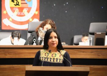 Elisa Zepeda Lagunas, activista oaxaqueña promotora de la participación política de las mujeres indígenas. AMEXI Foto Especial