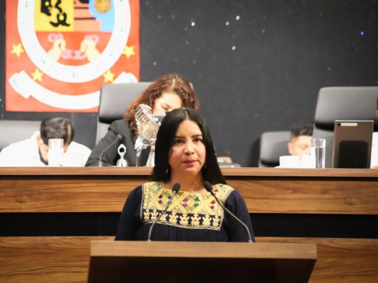Elisa Zepeda Lagunas, activista oaxaqueña promotora de la participación política de las mujeres indígenas. AMEXI Foto Especial