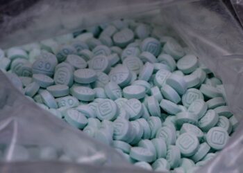 Fuerzas federales aseguran fentanilo y desmantelan laboratorios de drogas sintéticas