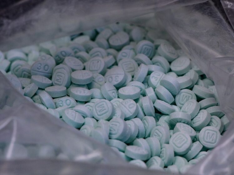 Fuerzas federales aseguran fentanilo y desmantelan laboratorios de drogas sintéticas