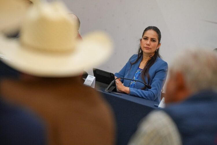 Autoridades de Guanajuato confirman tres detenidos por ataque armado en Salamanca