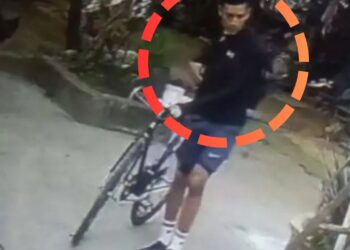 Una bicicleta de montaña recostada sobre el pasto en un sendero boscoso de la zona de Tlalpan en la Ciudad de México.