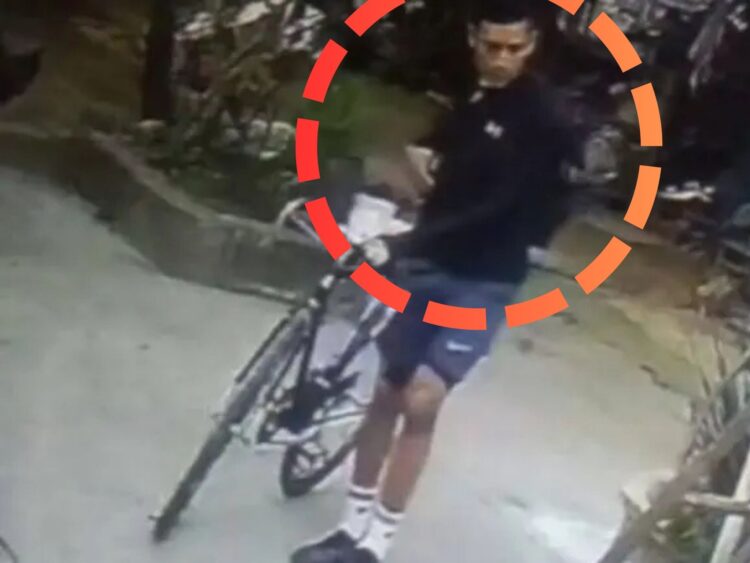 Una bicicleta de montaña recostada sobre el pasto en un sendero boscoso de la zona de Tlalpan en la Ciudad de México.