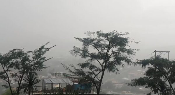 protocolo escolar preventivo