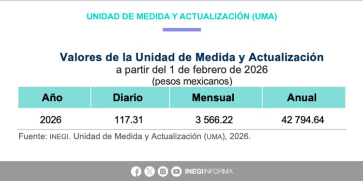 UMA 2026: Nuevo valor será de 117.31 pesos; impacta multas, impuestos, créditos…