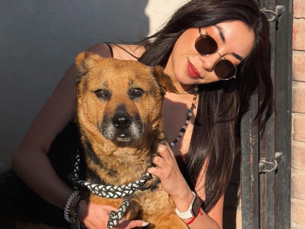 Zoofilia y crueldad animal contra perrita