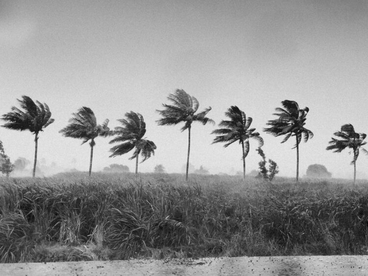 El SMN alerta por fuertes vientos, lluvias en el sureste y temperaturas gélidas en gran parte del país. | AMEXI/FOTO: Pexels