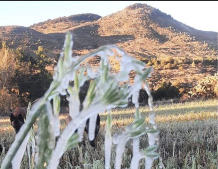 Oaxaca registra su primera helada del año