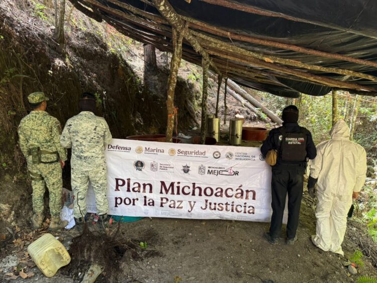 Localizan y destruyen laboratorio clandestino en zona serrana de Michoacán