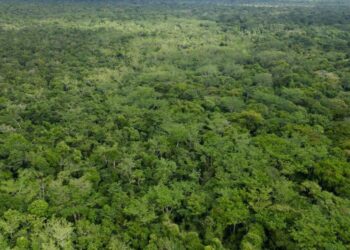 Chiapas impulsa el desarrollo y conservación de su patrimonio natural
