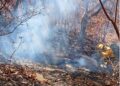 Sofocan incendio forestal en los Chimalapas, en la Selva oaxaqueña. AMEXI