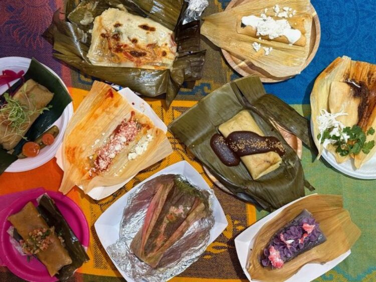 Variedad de tamales tradicionales, veganos y gourmet que se ofrecerán en el Encuentro de Sabores Tamaleros 2026 en Los Pinos.