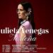 Julieta Venegas en concierto, cantando frente a miles de fans durante una presentación en la Ciudad de México como parte de su gira nacional.