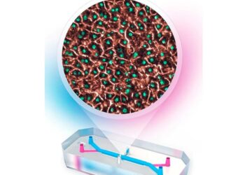 UNAM crea chip que replica funciones del hígado