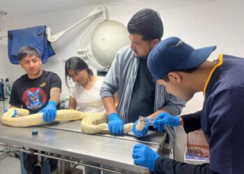 breves de los estados