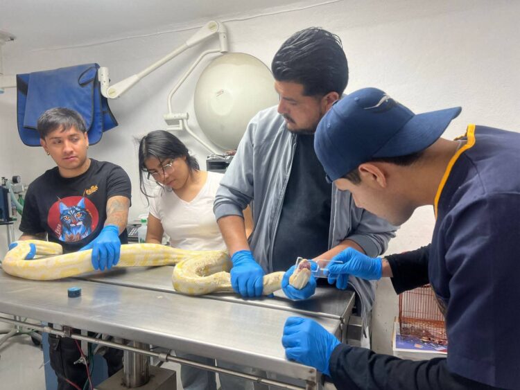 breves de los estados