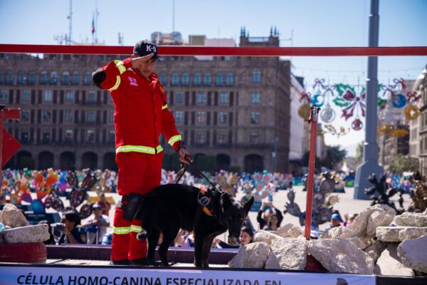 Un legado histórico y de vanguardia