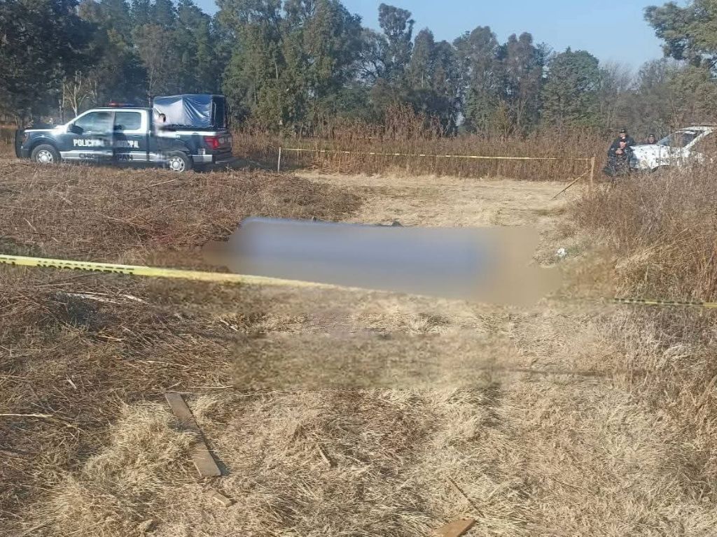 breves de los estados