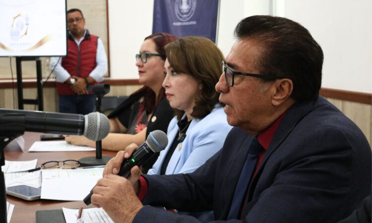 Diputada de Hidalgo, Claudia Luna Islas