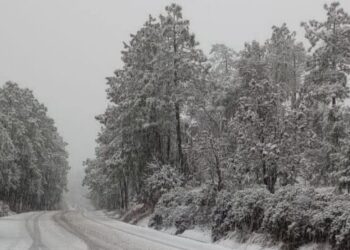 Paisaje de Chihuahua con ambiente gélido y condiciones invernales extremas.