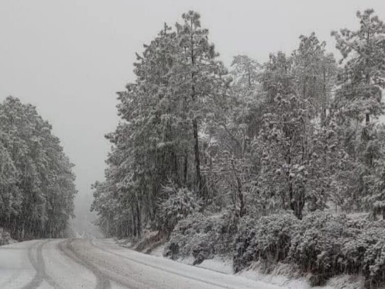 Paisaje de Chihuahua con ambiente gélido y condiciones invernales extremas.