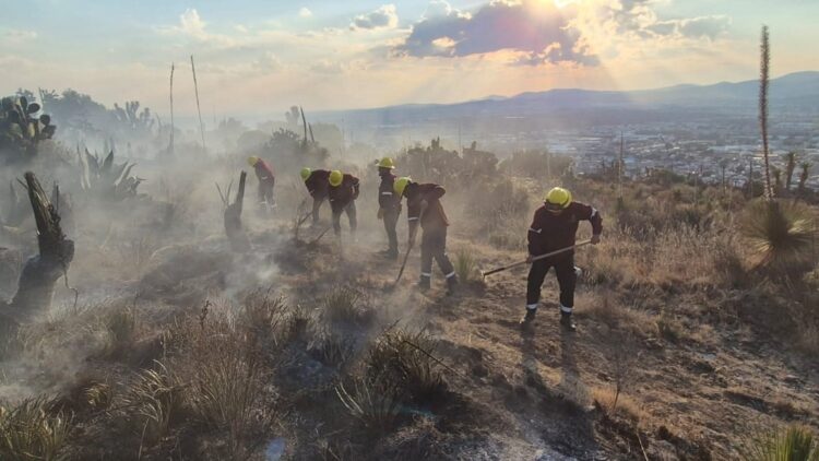 incendios forestales en Hidalgo