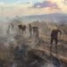 incendios forestales en Hidalgo