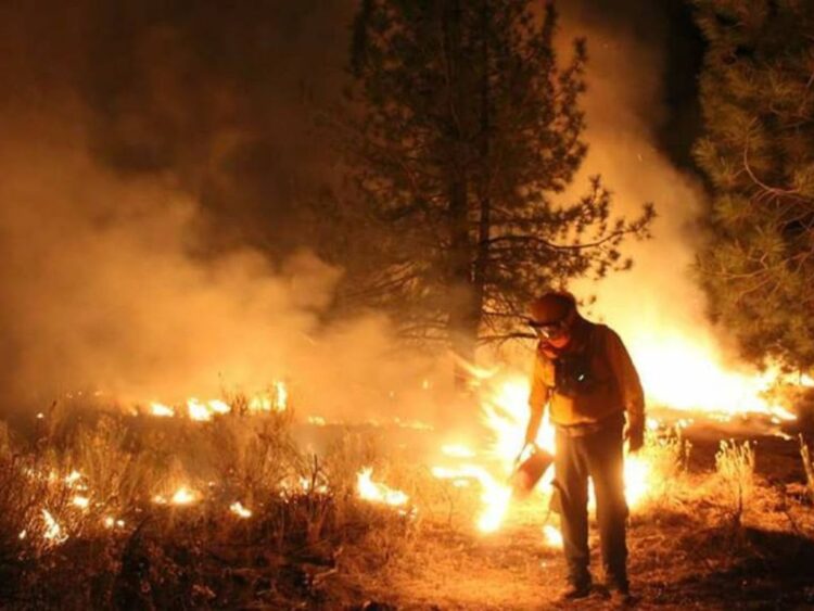 incendios forestales en Oaxaca