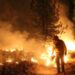 incendios forestales en Oaxaca