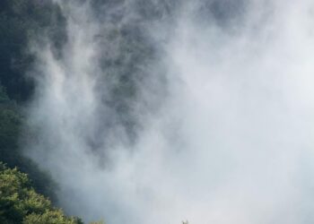 Alertan por frío, vientos fuertes y chubascos | AMEXI/FOTO: Pexels