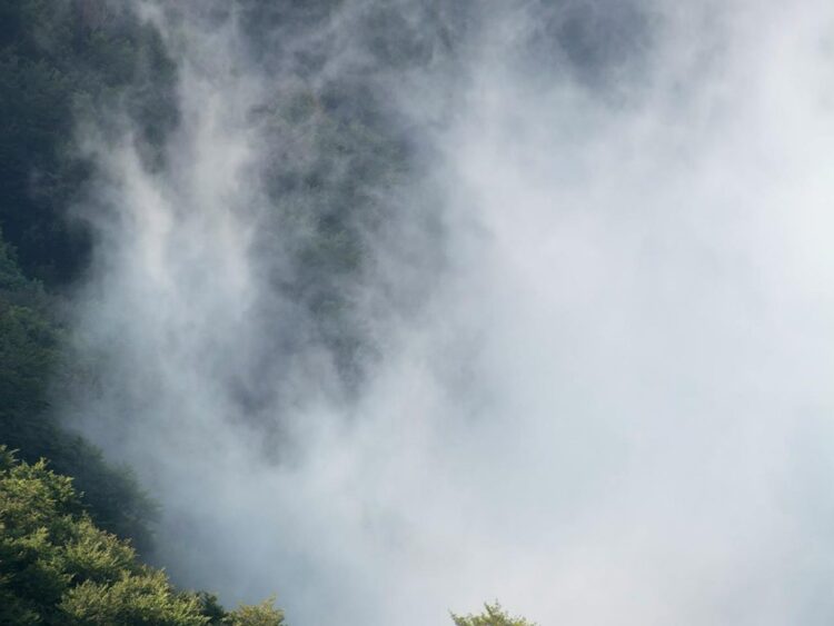 Alertan por frío, vientos fuertes y chubascos | AMEXI/FOTO: Pexels