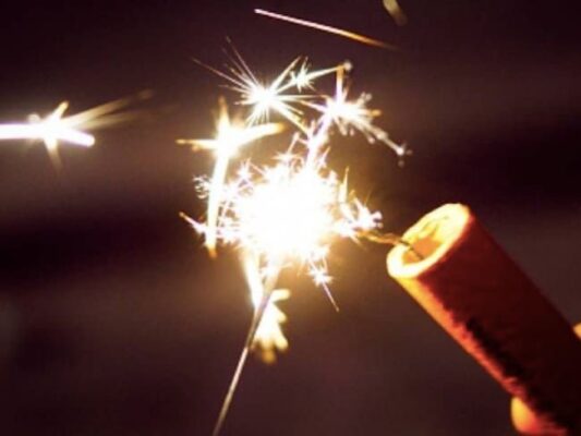 Diputados MC proponen una iniciativa de reforma a la Ley Federal de Armas de Fuego y Explosivos.