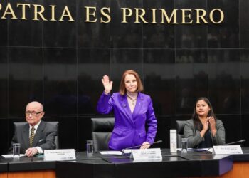 La presidenta del Senado, Laura Itzel Castillo Juárez afirma que la reforma electoral es un tema fundamental.