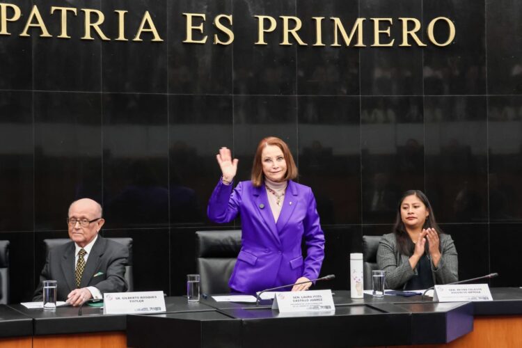 La presidenta del Senado, Laura Itzel Castillo Juárez afirma que la reforma electoral es un tema fundamental.