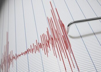 Sismo en Guerrero sacude la zona costera de San Marcos y despierta a CDMX