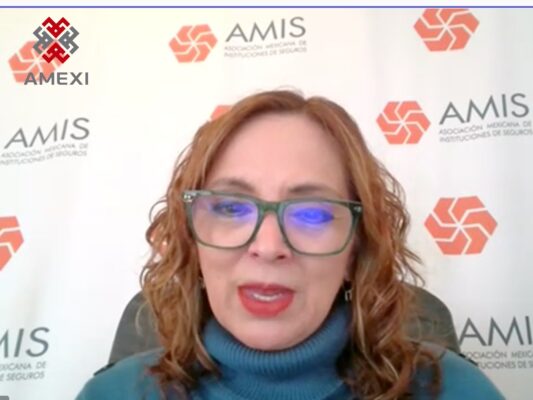 Norma Alicia Rosas, de AMIS, habla del robo de vehículos.