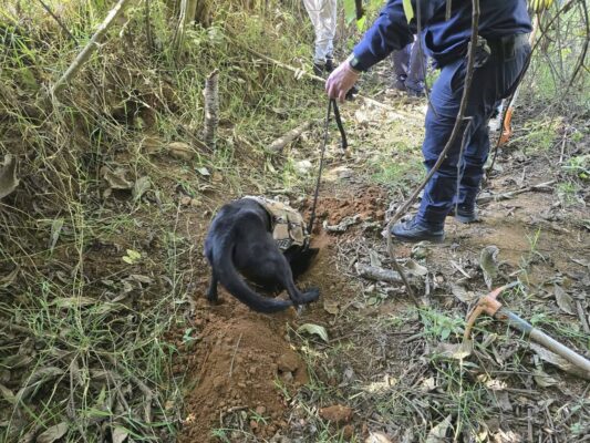 En el operativo participan también unidades K9 del Sistema Penitenciario.