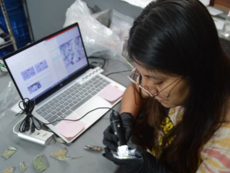 Arqueólogos y restauradores identifican y clasifican los objetos recuperados en la construcción del Tren Maya. | AMEXI/FOTO: INAH