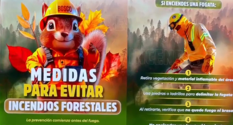 Brigadistas y comuneros atendieron incendios forestales en Hidalgo y Oaxaca