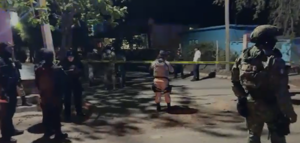 Breves de los Estados