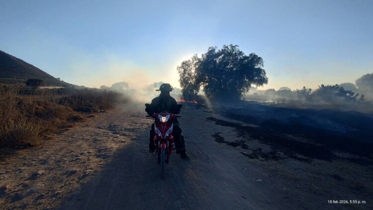 Afectaciones por incendios: en Hidalgo hay cinco activos; en Oaxaca, mala calidad del aire