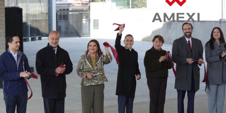 Borrador automático