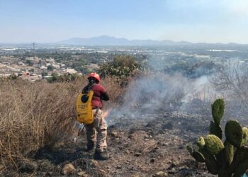 Bomberos, Ejército y vecinos controlan incendio en reserva ecológica de Tepotzotlán