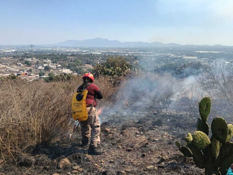 Bomberos, Ejército y vecinos controlan incendio en reserva ecológica de Tepotzotlán