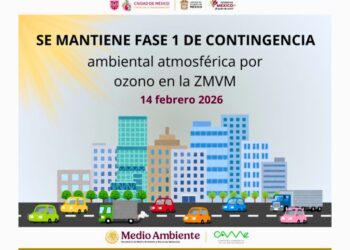 Doble Hoy No Circula en 14 de febrero. AMEXI